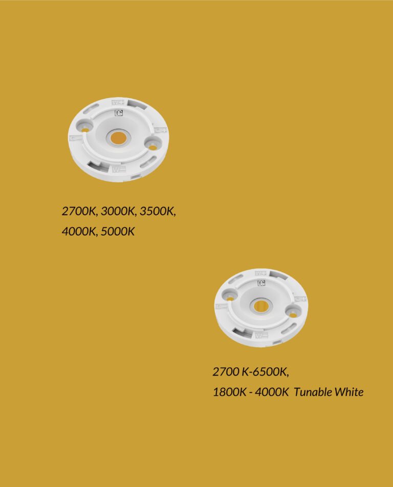 dsfwe345-02-02